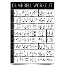 Listing image for Dumbbell Gym Workout Poster Fitness Training Exercise Chart A5–A1