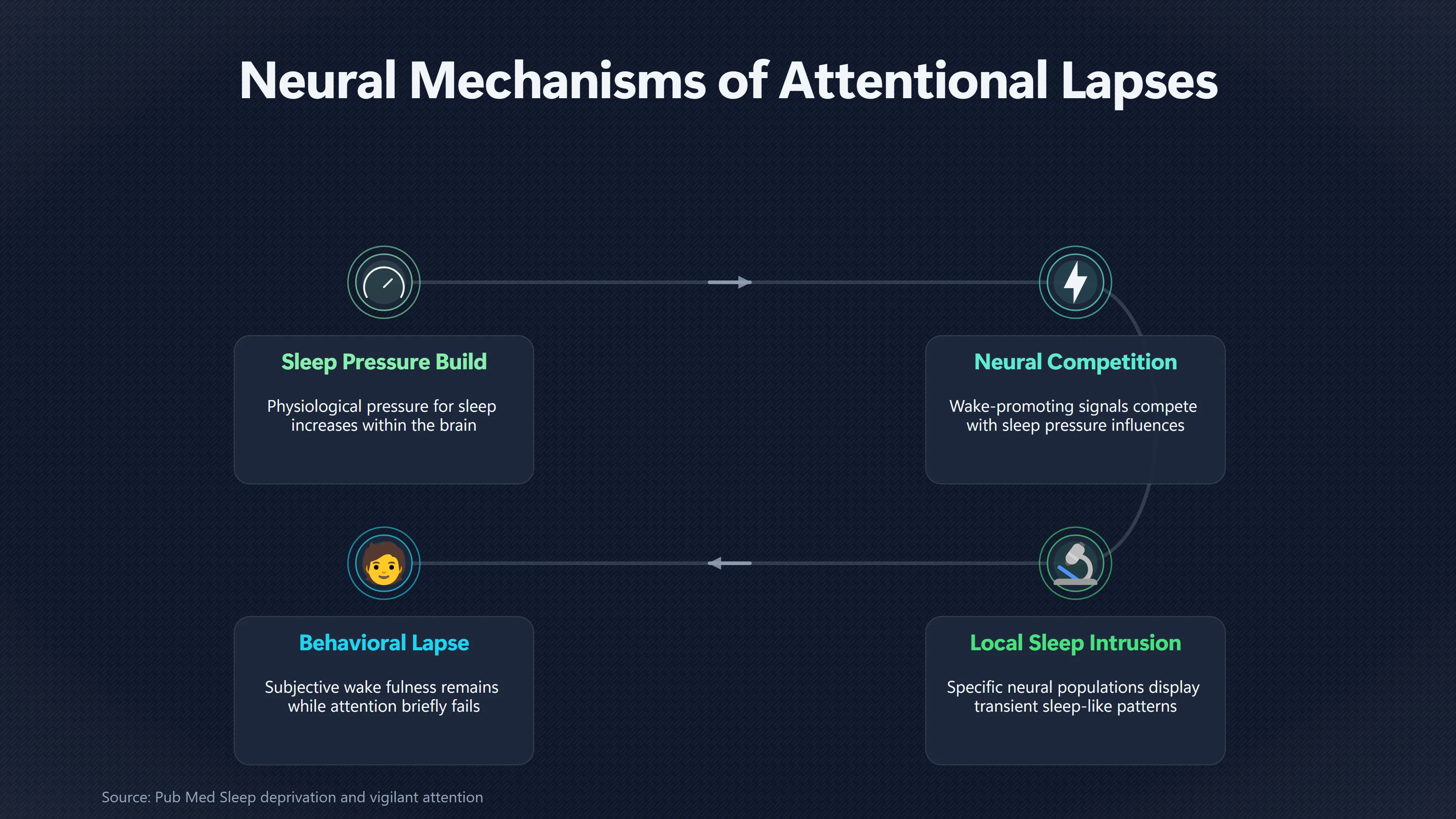 Overview image for Why Tired Brains Fail in Brief, Costly Lapses | Sleep Foundation